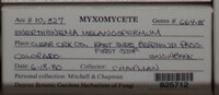 Image Associated With the Occurence
